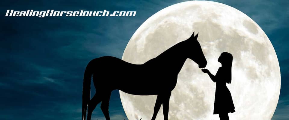 Support Healing, Connection, and Renewal through Horses